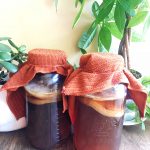 Two large mason jars with kombucha inside and cloths on top, with plants in the background.