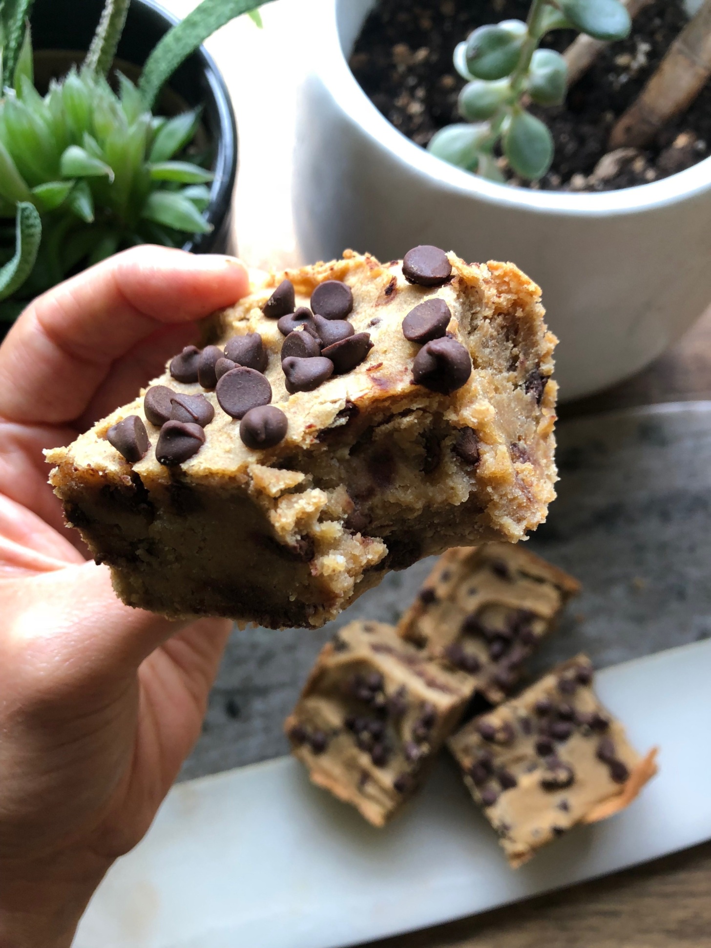 Chickpea blondies-Saturated fats in coconut oil