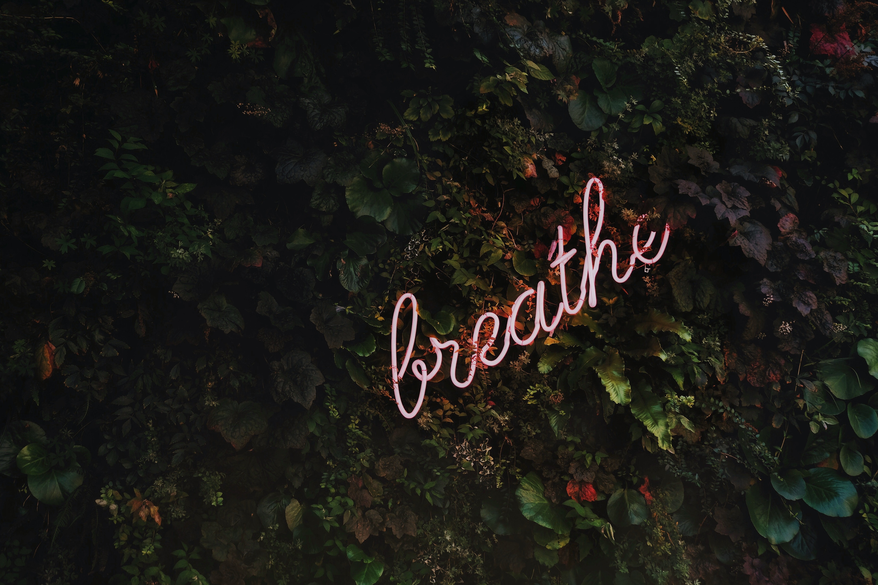 Neon pink breathe sign
