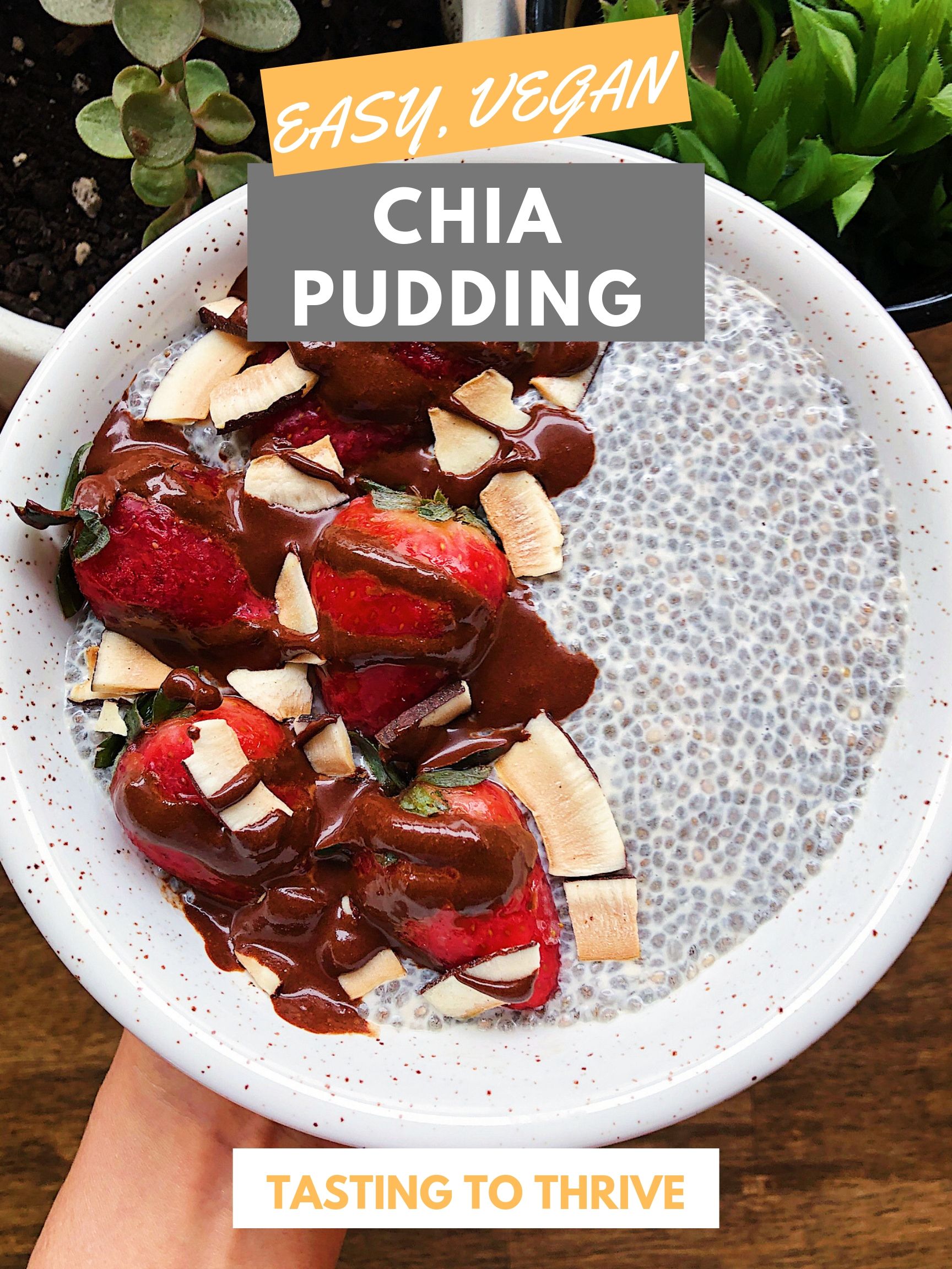 Hand holding bowl of chia pudding