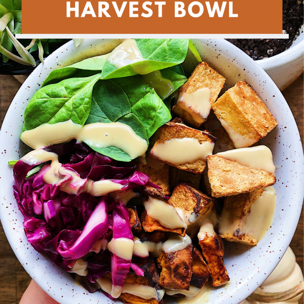 garlic tofu fall harvest bowl
