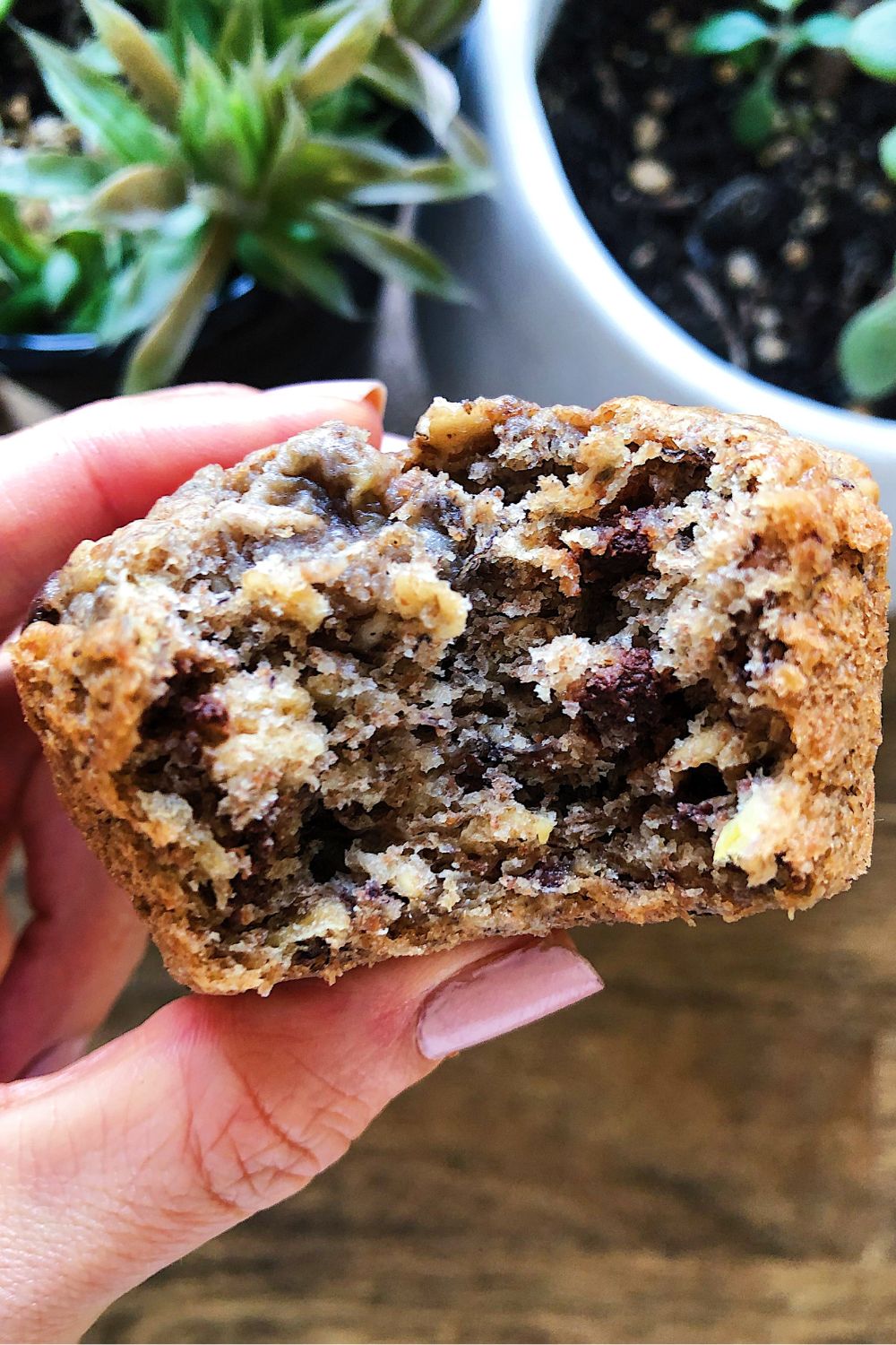 Hand holding a banana chocolate chip muffin with a bite taken out of it.