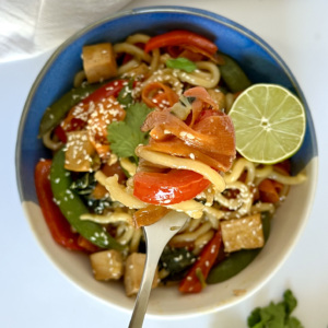 White and blue bowl with udon noodles, veggies, tofu and a fork spiralled with the stir fry.