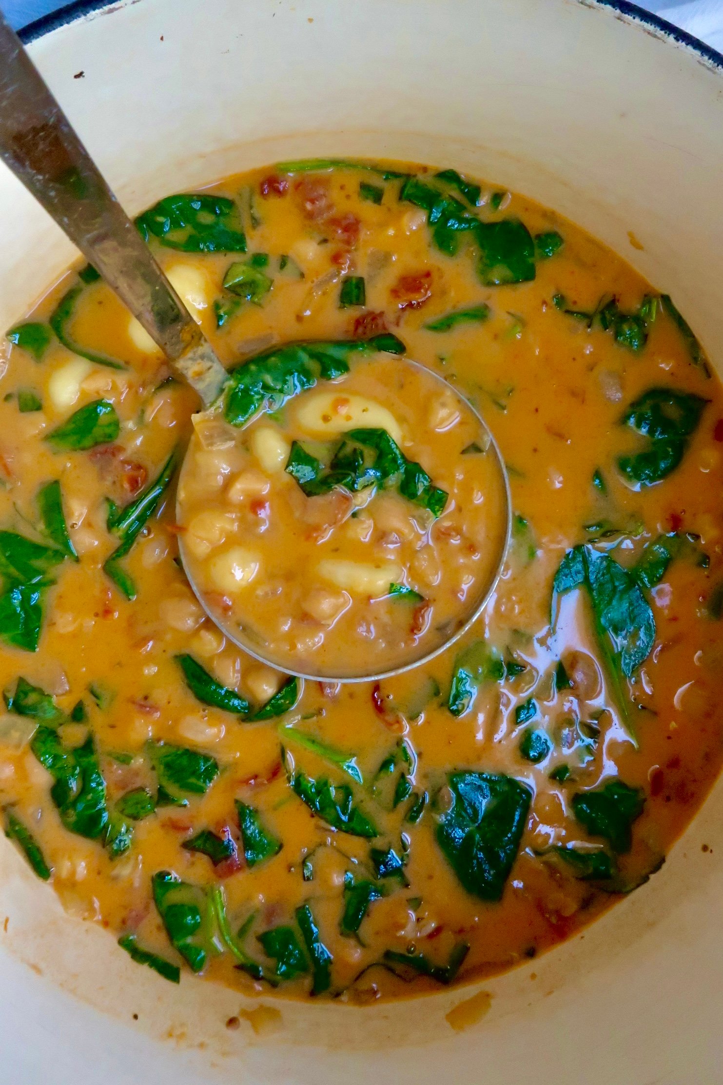 Pot with tomato coconut milk broth and sundried tomatoes, spinach and gnocchi scooping some.