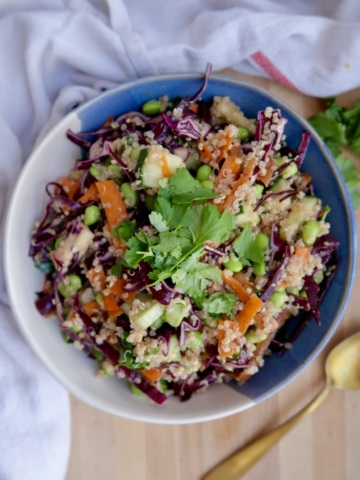 Blue and white bowl with quinoa salad with cabbage and edamame in it with cilantro on top.