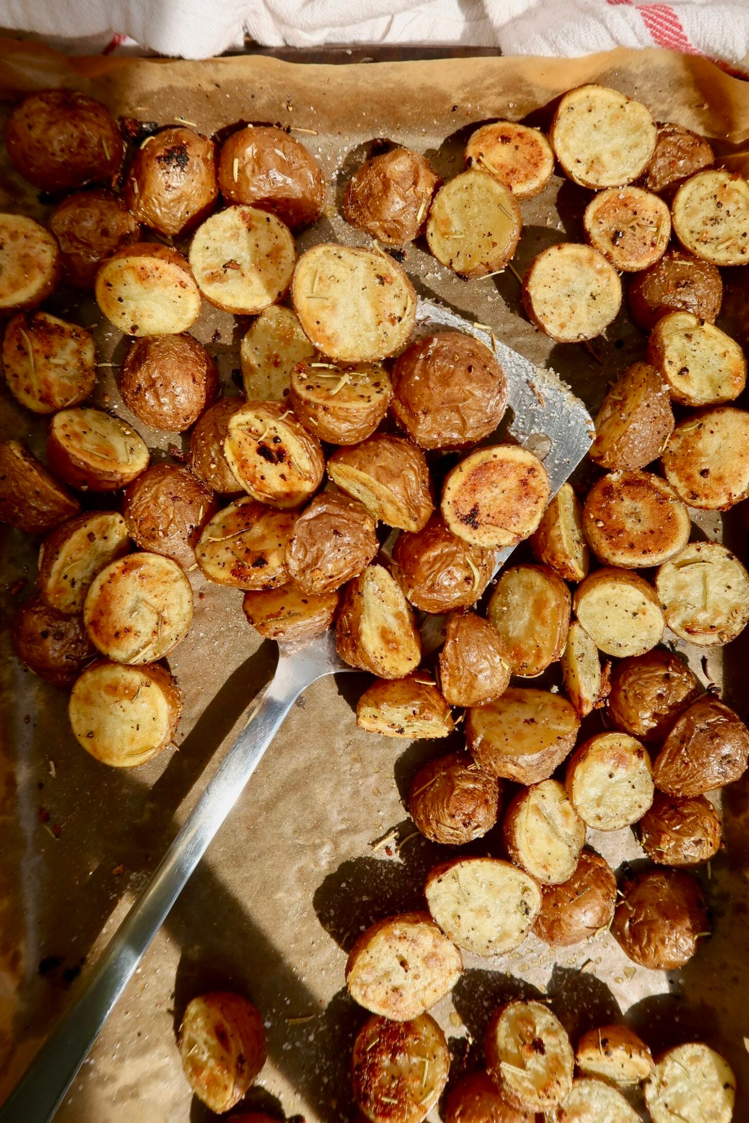 Roasted baby red potatoes on a sheet pan with spices on them and a spatula picking some up.