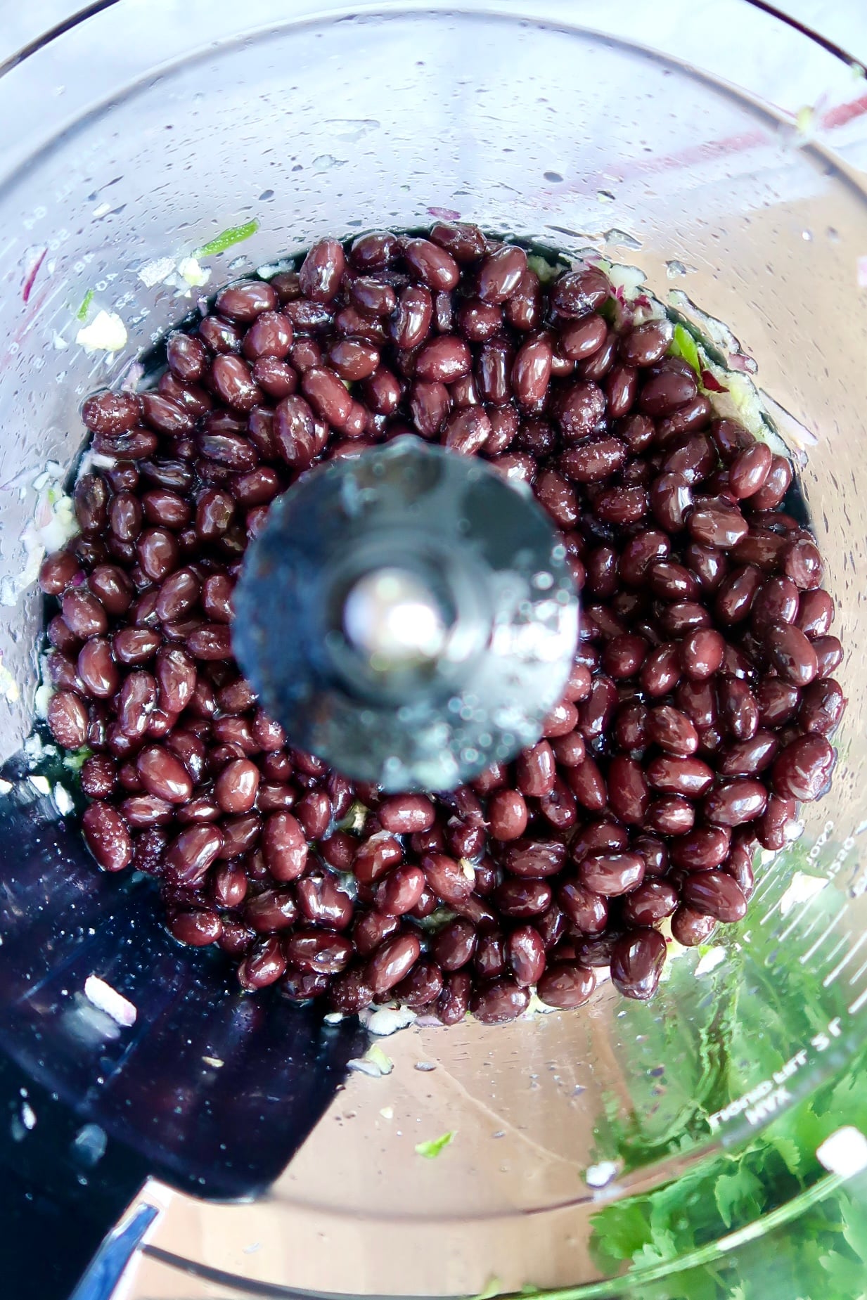 Food processor with black beans and cilantro off to the side.